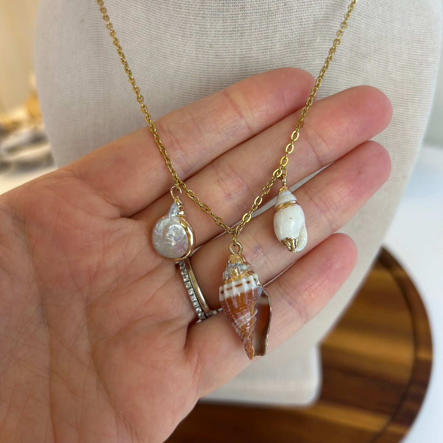 Seashell Variety Charm Necklace