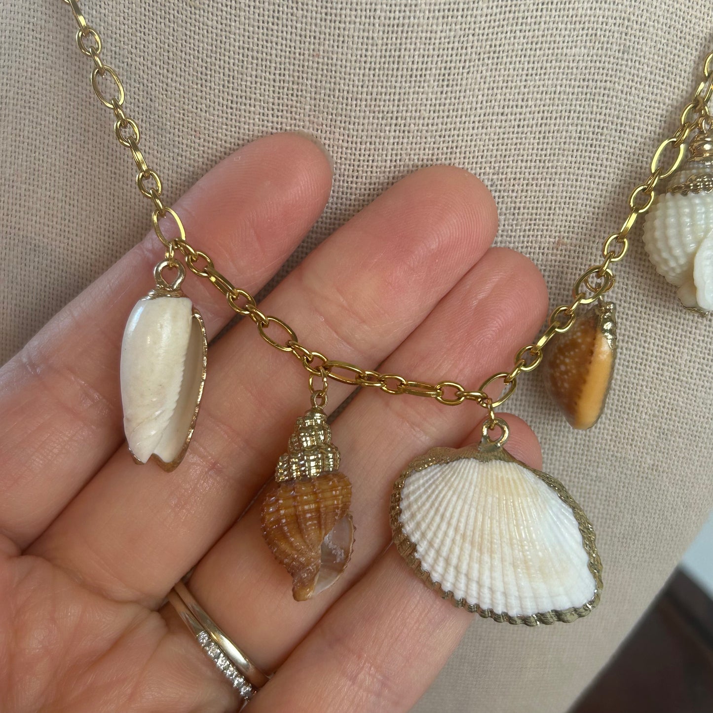 Sandy Shores Seashell Variety Necklace