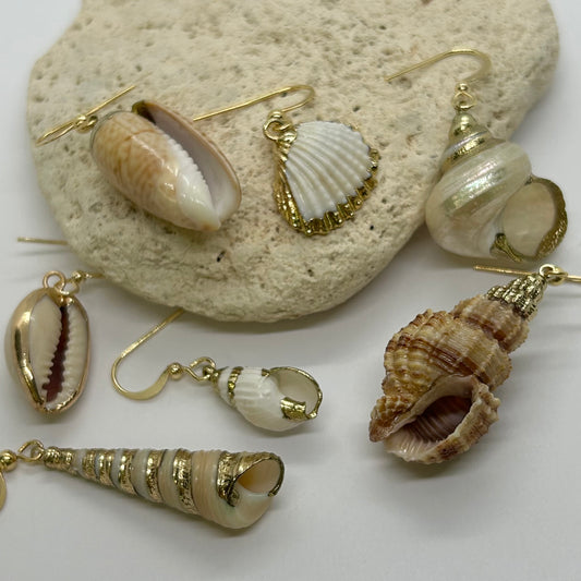 Simply SeaShells Earrings