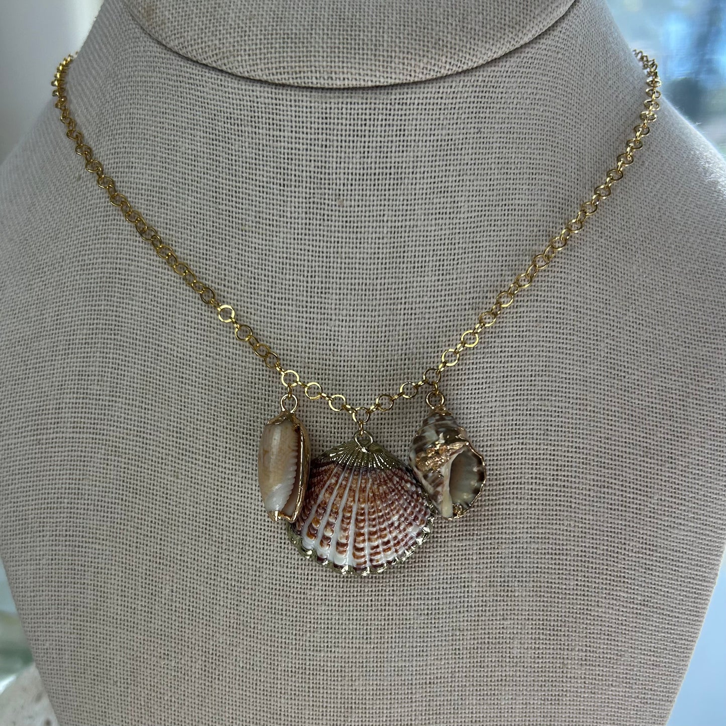 Seashell Variety Trio Minis