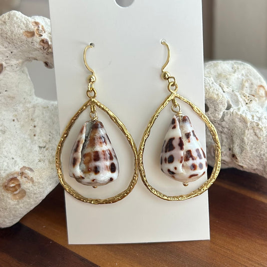 Teardrop Bezel Hebrew Cone Shell Earrings