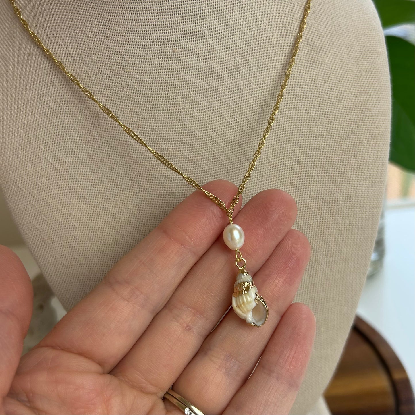 Pearl Drop Conch Shell Necklace Varieties