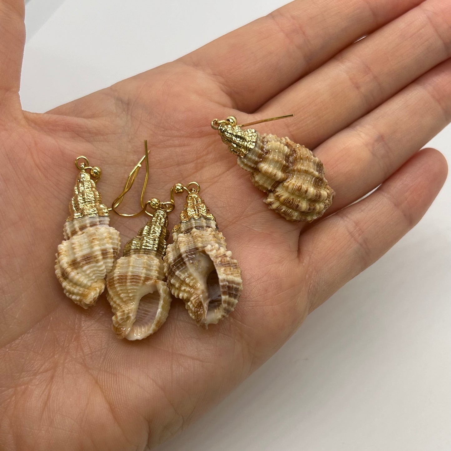 Simply SeaShells Earrings