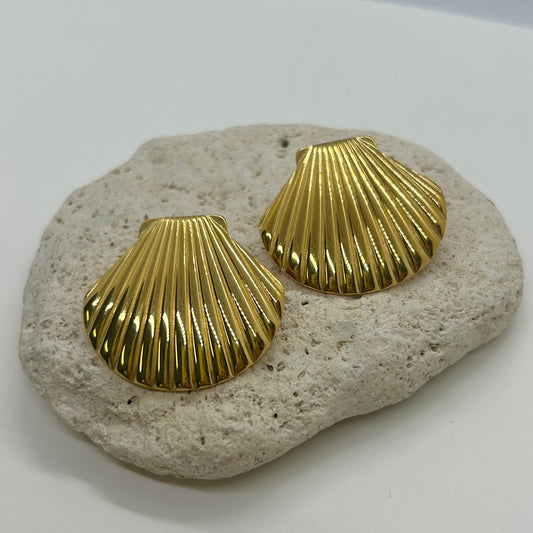 Statement Shell Earring Studs