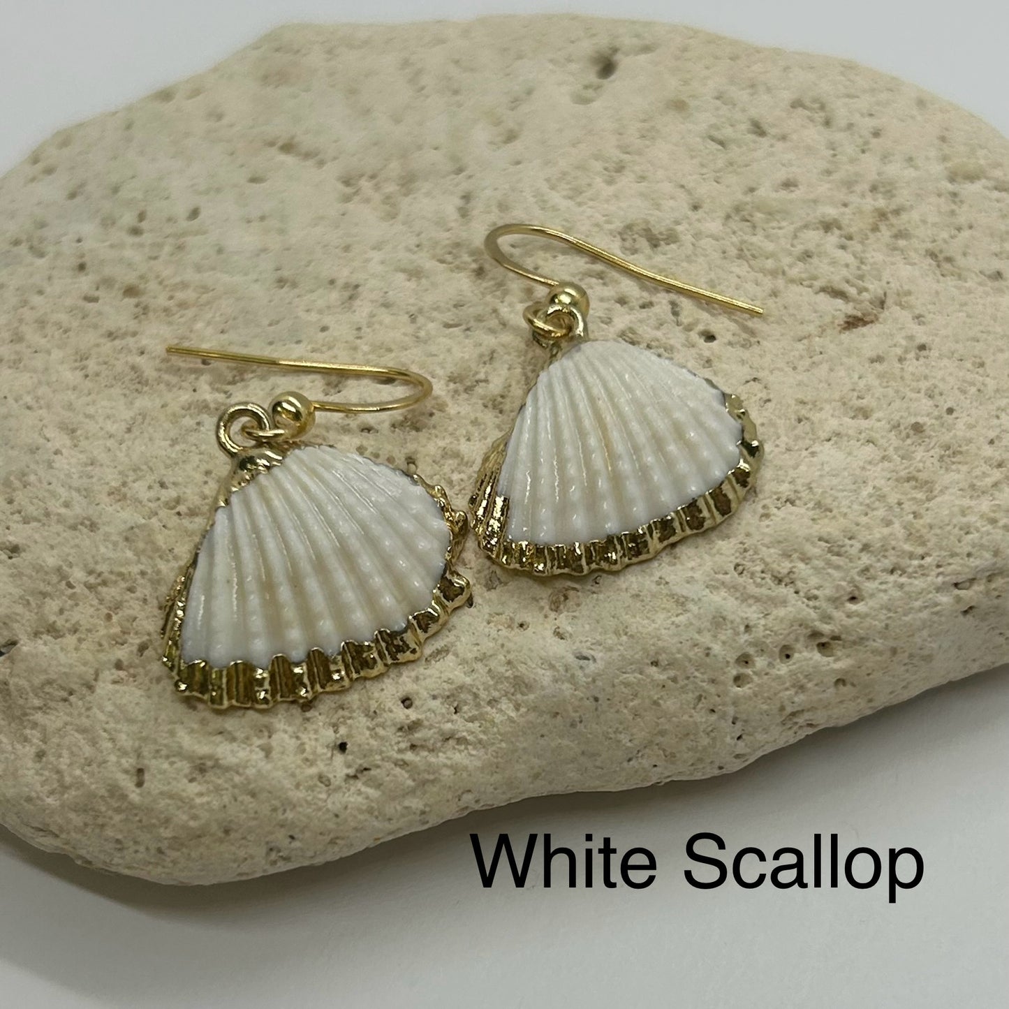 Simply SeaShells Earrings