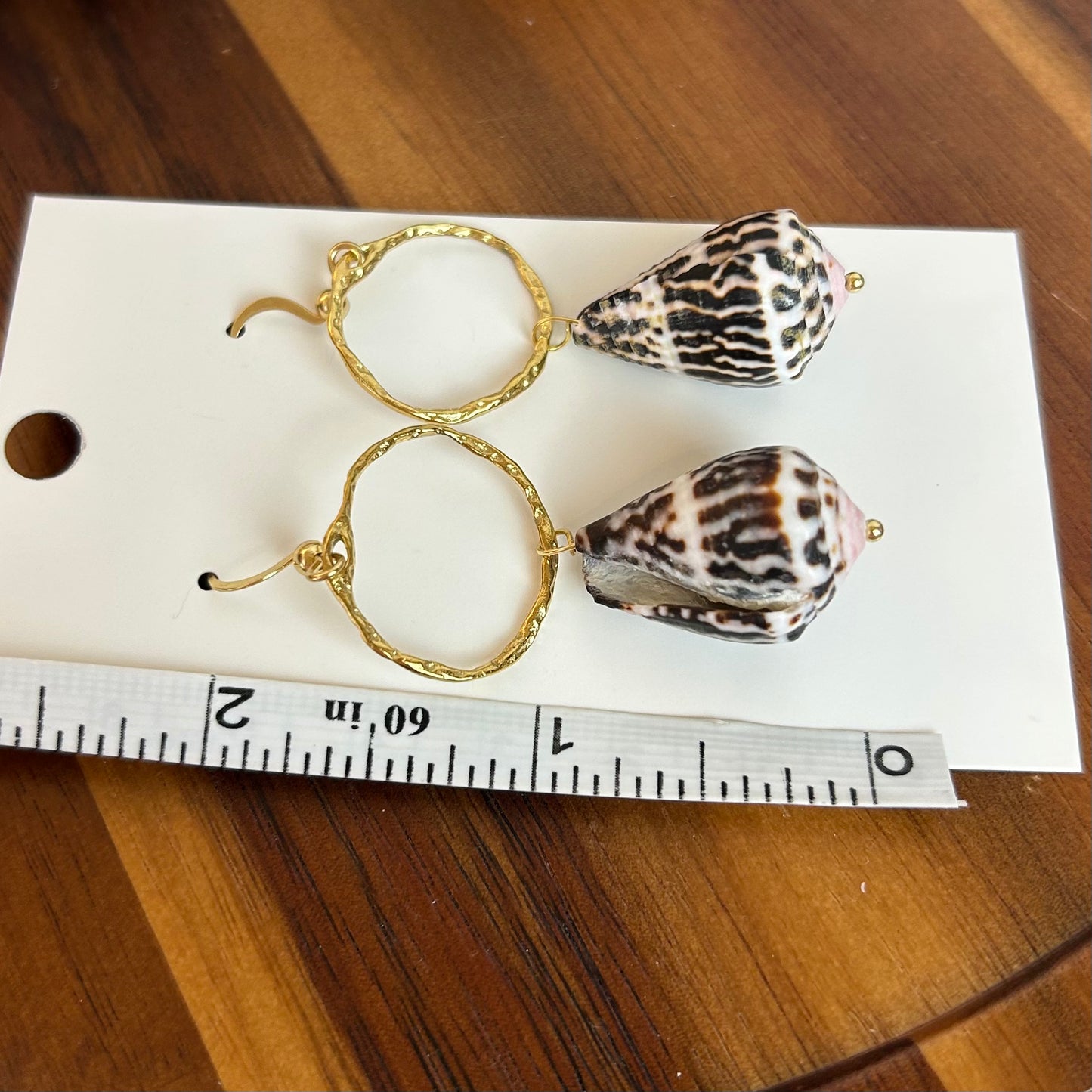 Cone Shell Open Bezel Earrings