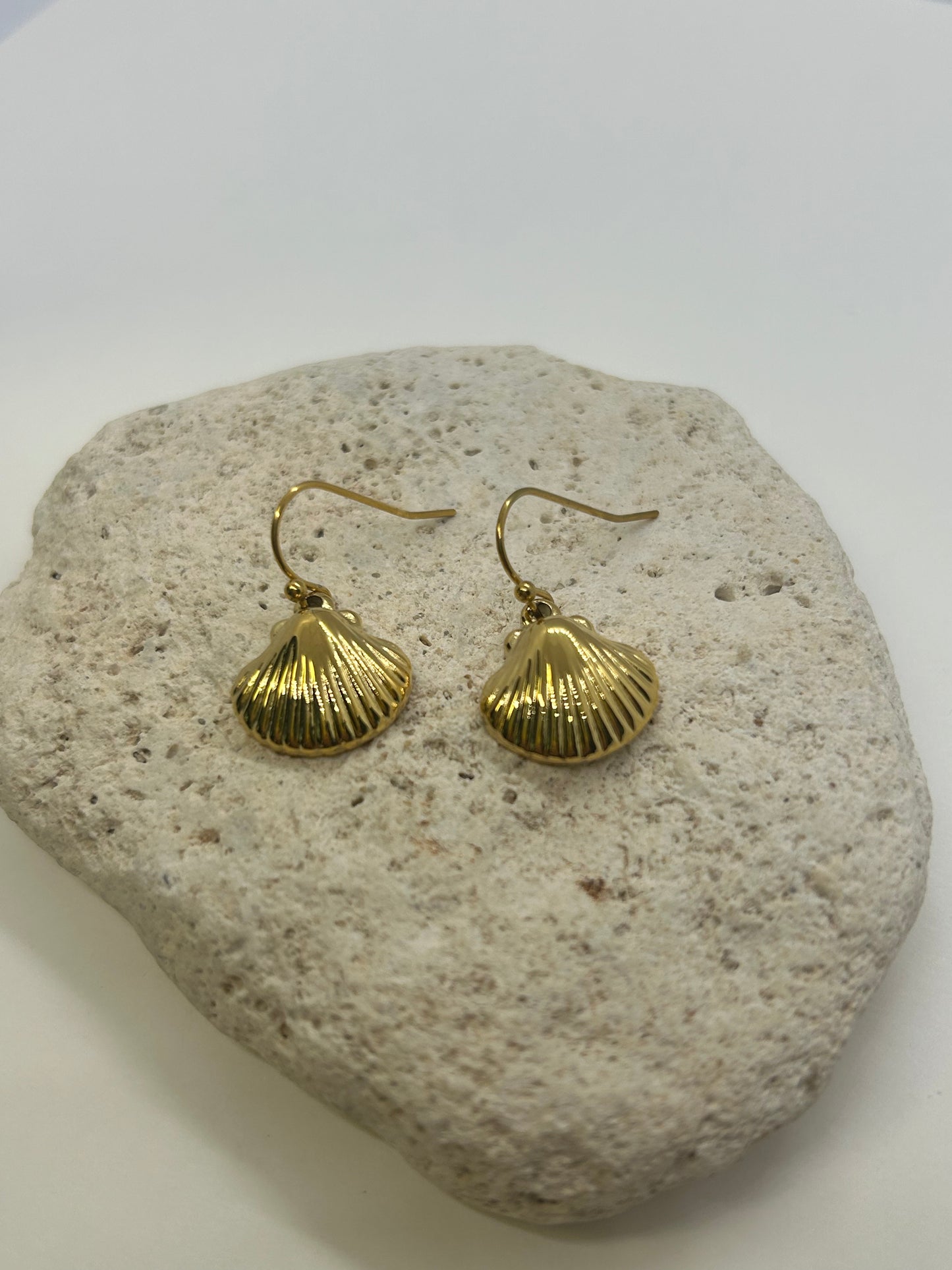 Simple Shell Gold Earrings