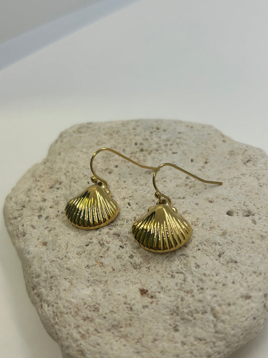 Simple Shell Gold Earrings